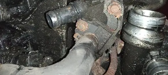 Renault Laguna III Engine coolant pipe/hose