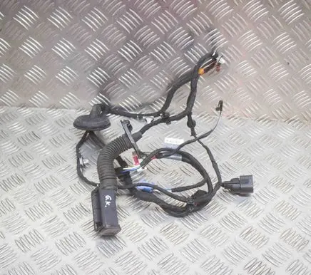 Audi A5 Rear door wiring loom 8W8971687M