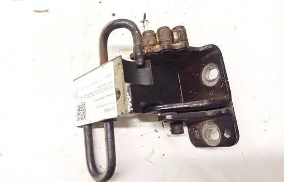Volkswagen Touareg I Rear door lower hinge 