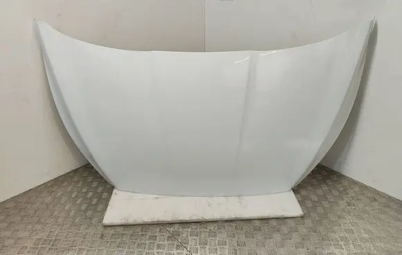 Engine bonnet/hood