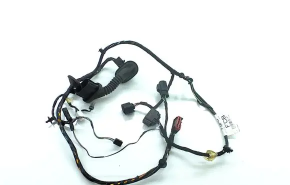 Rear door wiring loom