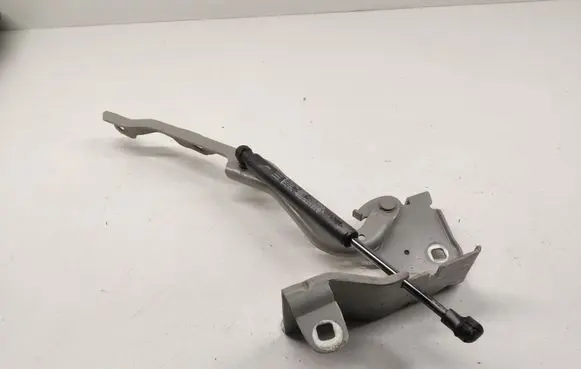 Renault Latitude (L70) Engine bonnet/hood hinges 