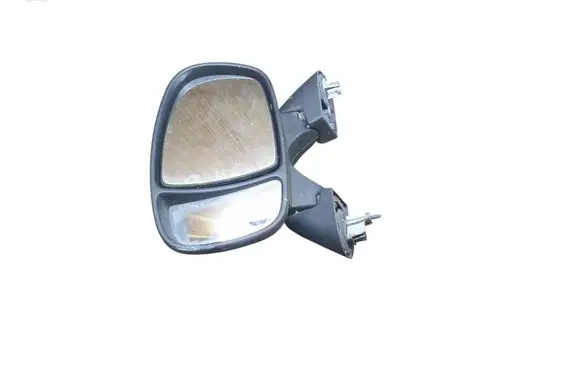 Renault Trafic II (X83) Front door electric wing mirror E2010022