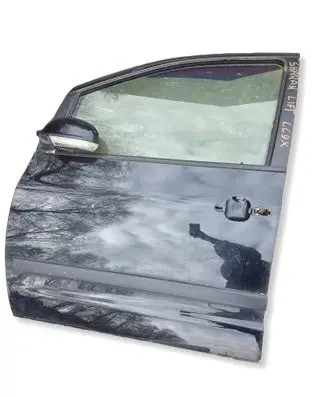 Volkswagen Sharan Front door 