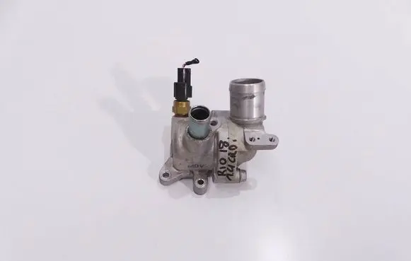 Thermostat/thermostat housing