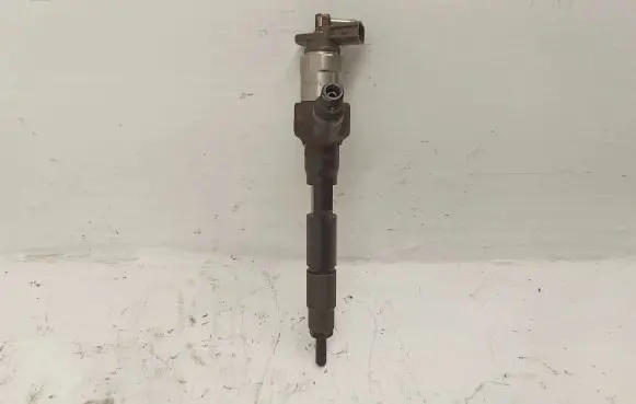 Mazda 3 II Fuel injector R2AA13H50 001102M53747 BM007812