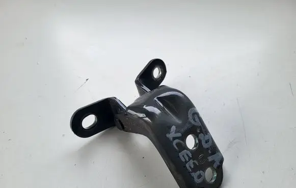KIA Xceed Rear door lower hinge