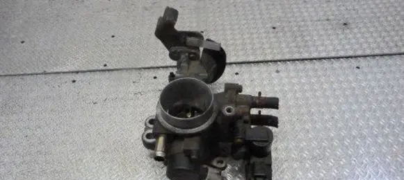 Throttle body valve