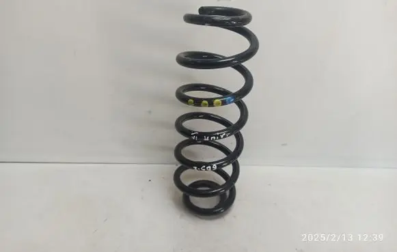 Volkswagen Golf VI Rear coil spring