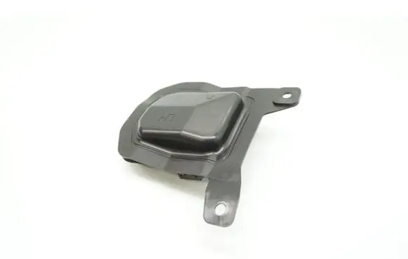 Front door trim (molding)