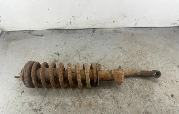 Chevrolet TrailBlazer Front shock absorber with coil spring 