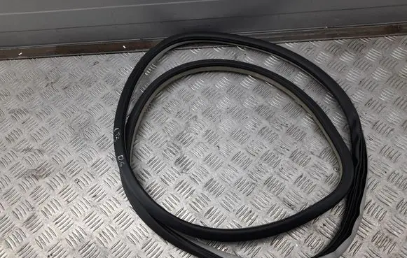Cadillac CTS Rear door rubber seal (on body) 