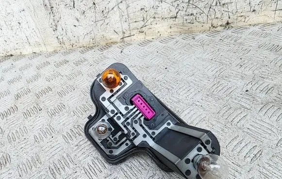Renault Megane III Tail light bulb cover holder 89076124