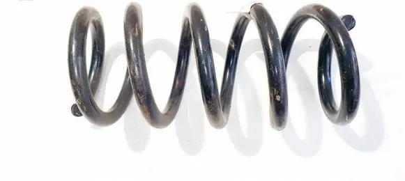 Rear coil spring