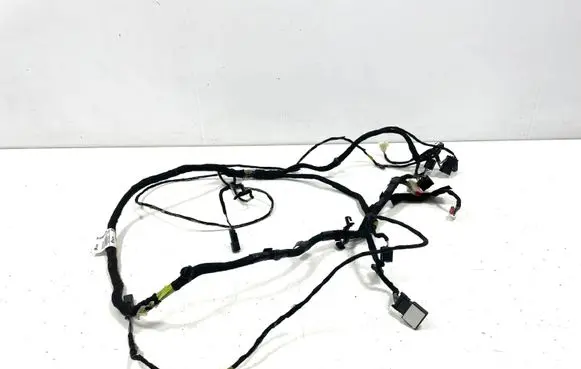 Chevrolet Volt I Other wiring loom 20957390
