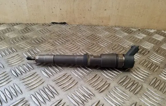 Fiat Ducato Fuel injector 0445110520 5801594342