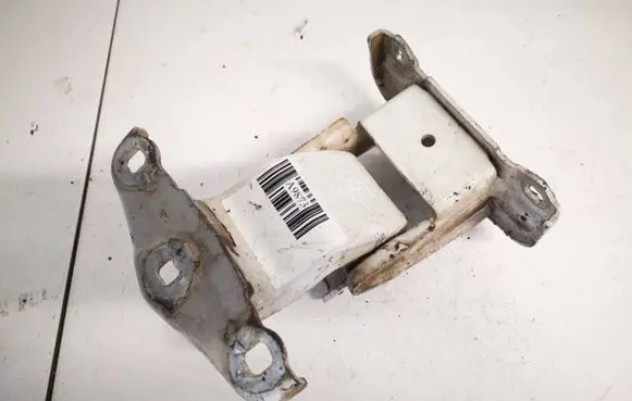 Renault Trafic II (X83) Rear door lower hinge