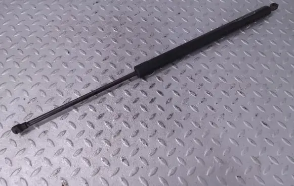 Tailgate/trunk strut/damper