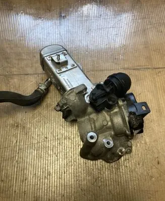 Ford Kuga II EGR valve 30725888