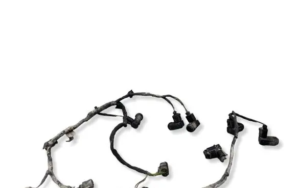 Volkswagen Phaeton Parking sensor (PDC) wiring loom 1U0919275 0263003187
