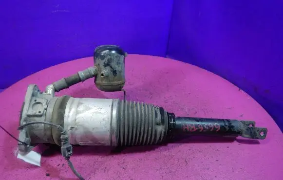 Audi A8 S8 D3 4E Rear shock absorber/damper 4E0616002H