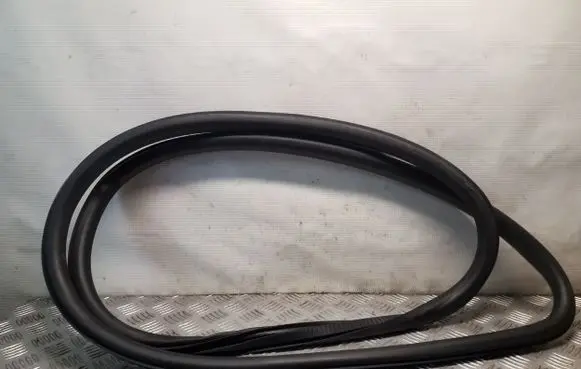Opel Insignia A Front door rubber seal 