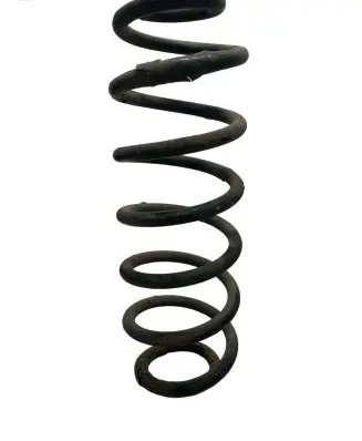 Volkswagen Golf V Rear coil spring
