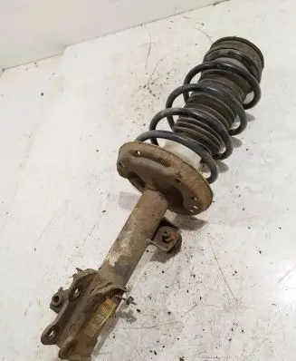 Fiat Punto (199) Front shock absorber/damper 51796542 P32619
