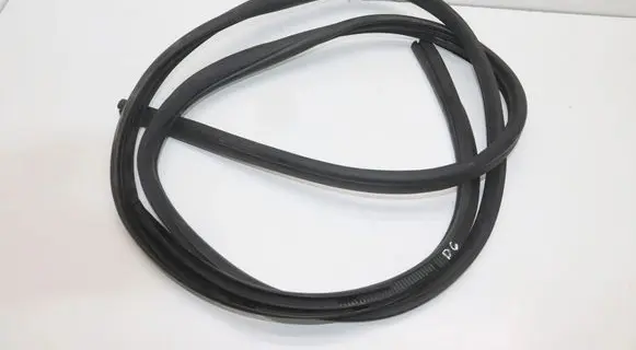 Nissan Altima Rubber seal rear door 000000