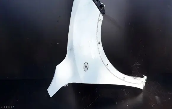 Nissan Juke I F15 Fender