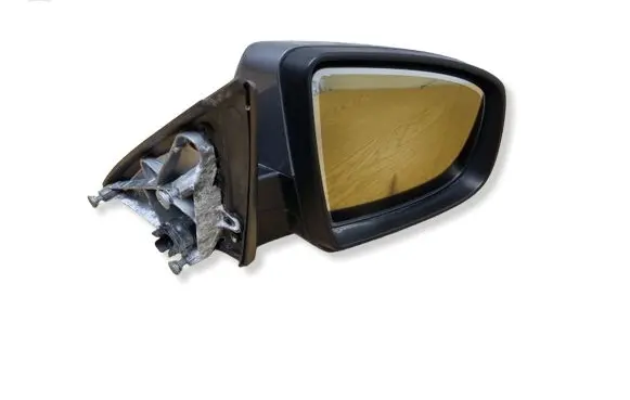 BMW X6 E71 Front door electric wing mirror 7136887