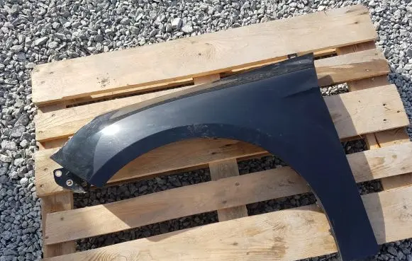 Ford Focus Fender