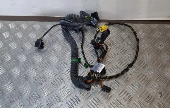 Porsche Panamera (970) Front door wiring loom 970612603