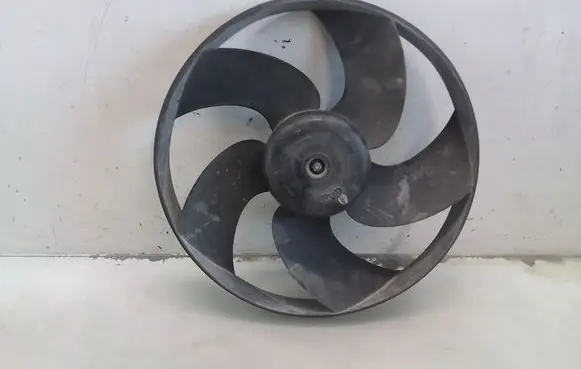 Peugeot 206 CC Electric radiator cooling fan 125383