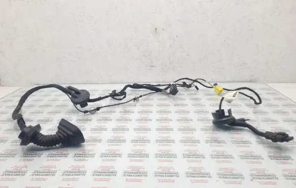 Front door wiring loom