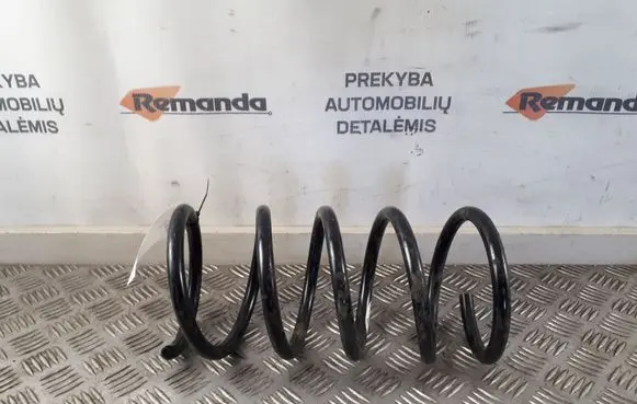 Rear coil spring