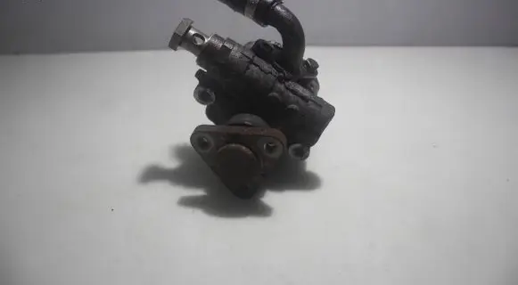 Volkswagen PASSAT B5.5 Power steering pump