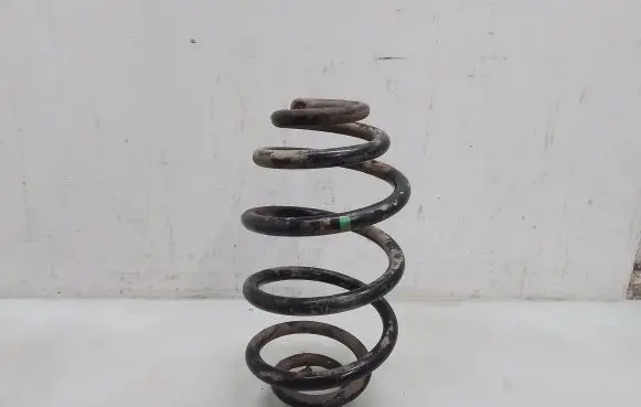 Volkswagen PASSAT B5 Rear coil spring