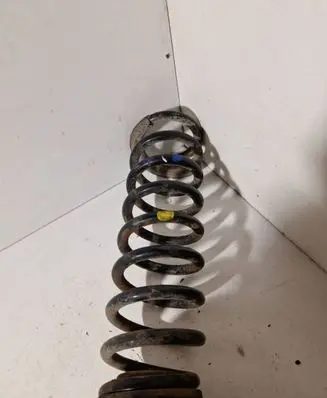 Rear coil spring