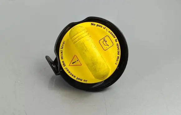 Nissan Qashqai Oil filler cap 152599115R A2820181800