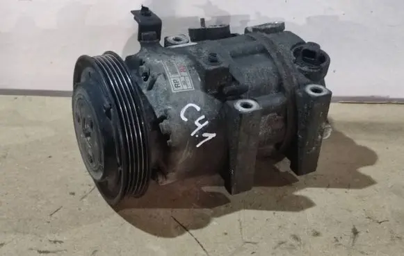 KIA Carens III Air conditioning (A/C) compressor (pump) F500PNBCA09
