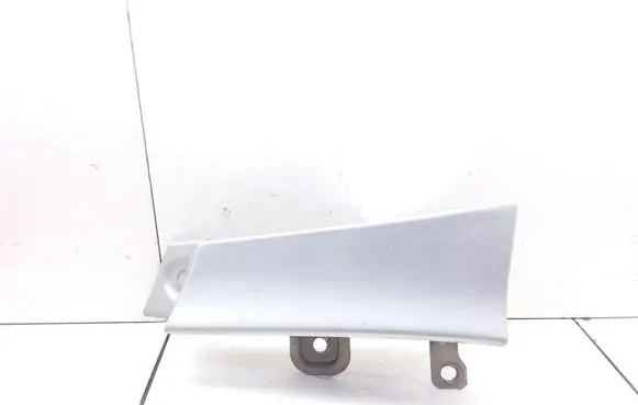 Rear/tail light trim molding