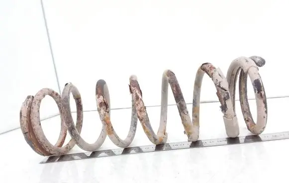 Ford Focus Rear coil spring