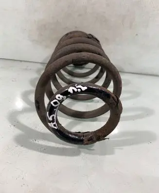 Rear coil spring