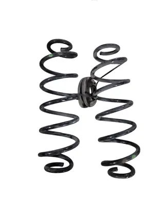 Toyota C-HR I Rear coil spring