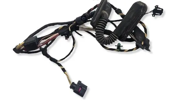 Volkswagen PASSAT CC Rear door wiring loom 3C8971694AN