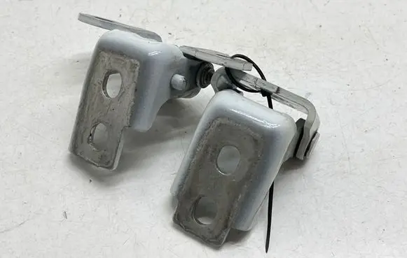 Renault Megane III Rear door hinge set 804200003RK