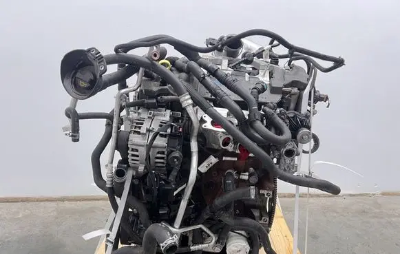 Volkswagen Transporter - Caravelle T7 Engine DZJF
