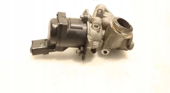 EGR valve
