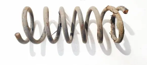 Ford S-MAX Rear coil spring